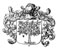 Blason de Plancher Bas